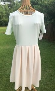 LuLaRoe Amelia dress